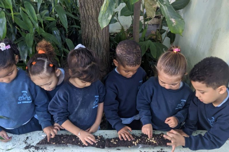  Im Umweltunterricht lernen die Kinder wie Pflanzen sich entwickeln und wachsen