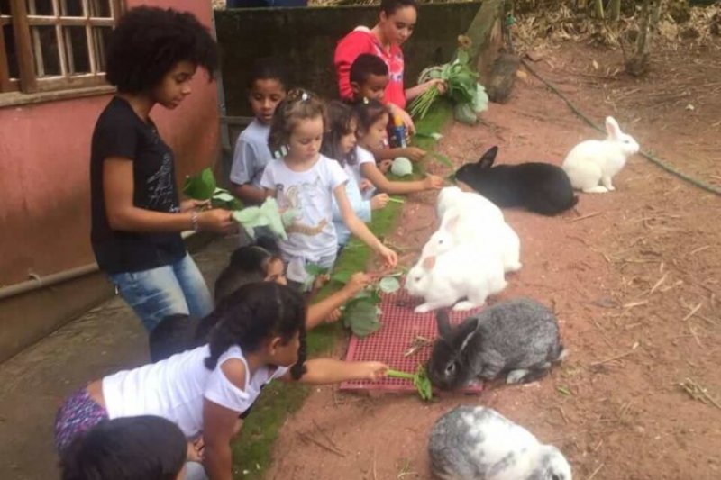 Während den Begegnungen in der Tiertherapie können die Kleinen die Gewalt und Sorgen der Favelas für einen Moment vergessen